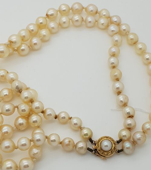Cultured Pearls