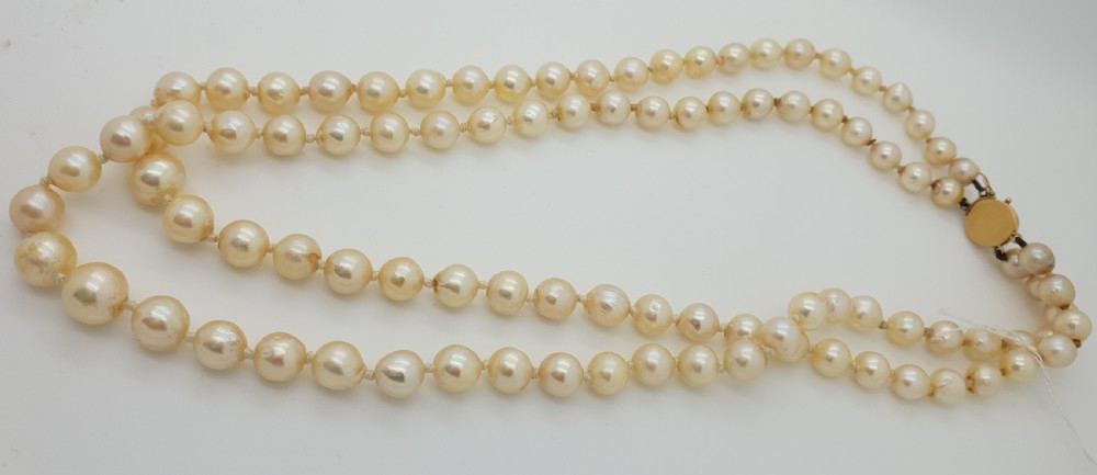 Cultured Pearls View IV