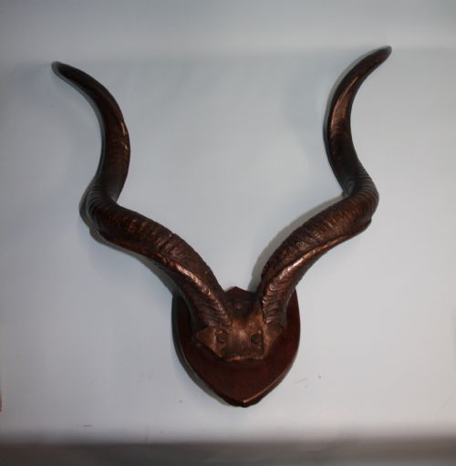 Pair of Addex Horns