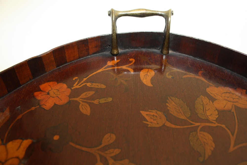 George III Mahogany Parquetry Tray View VI