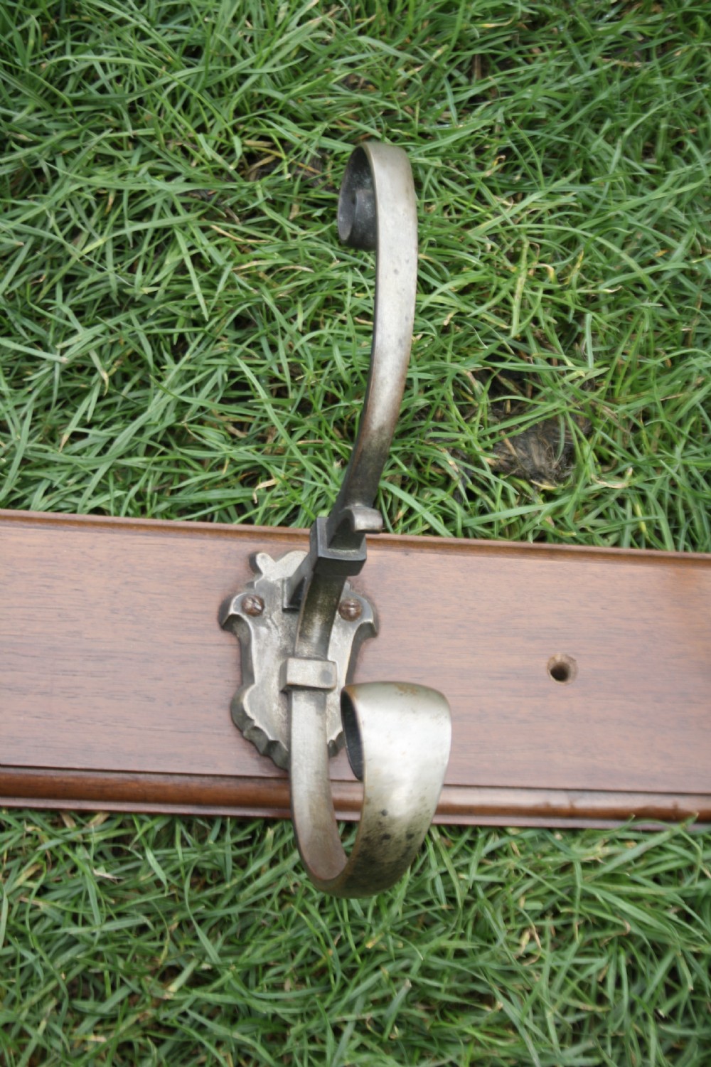 Five Edwardian coat-hooks mounted on walnut View VI