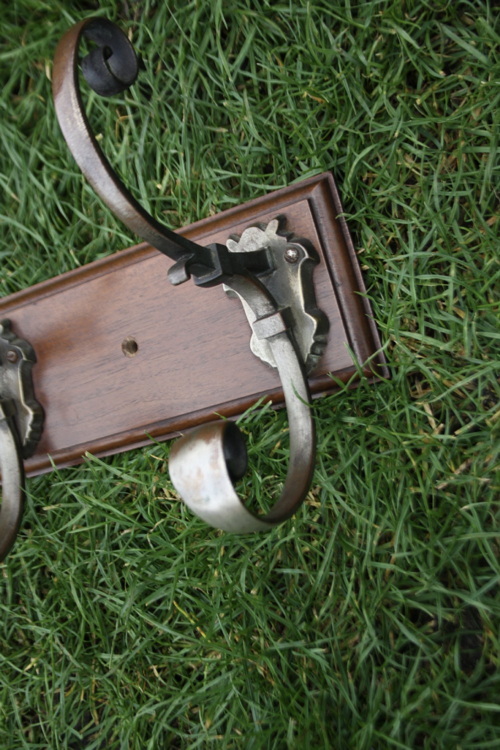 Five Edwardian coat-hooks mounted on walnut View VII