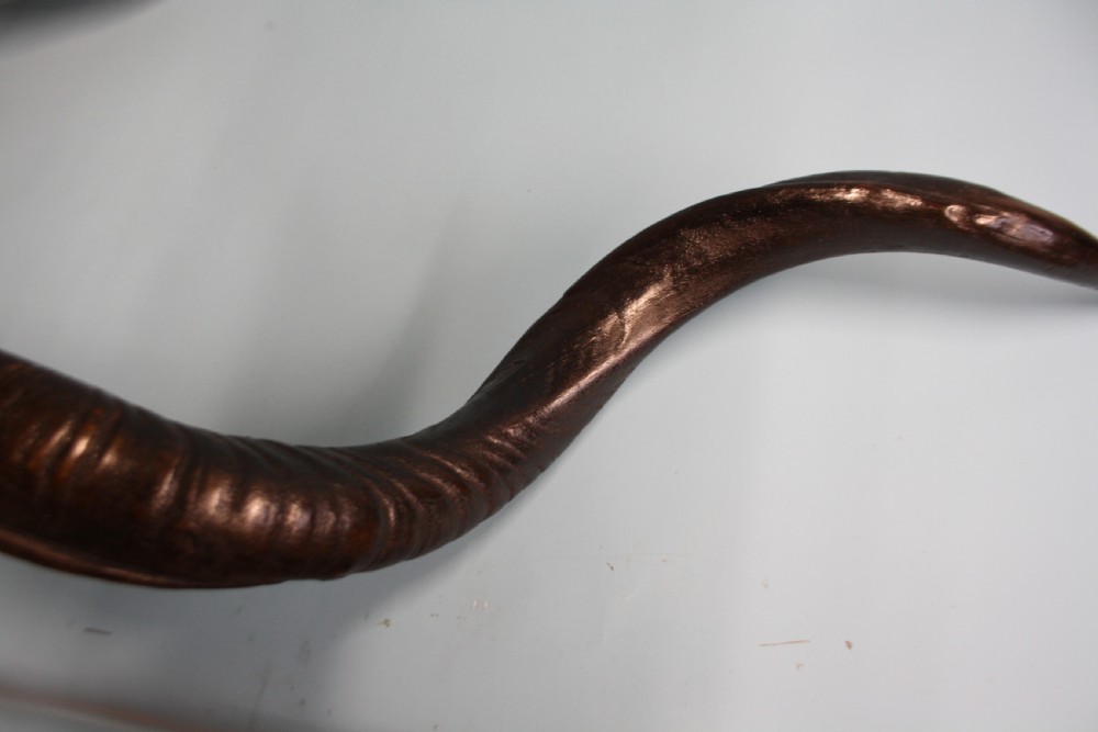 Pair of Addex horns View III