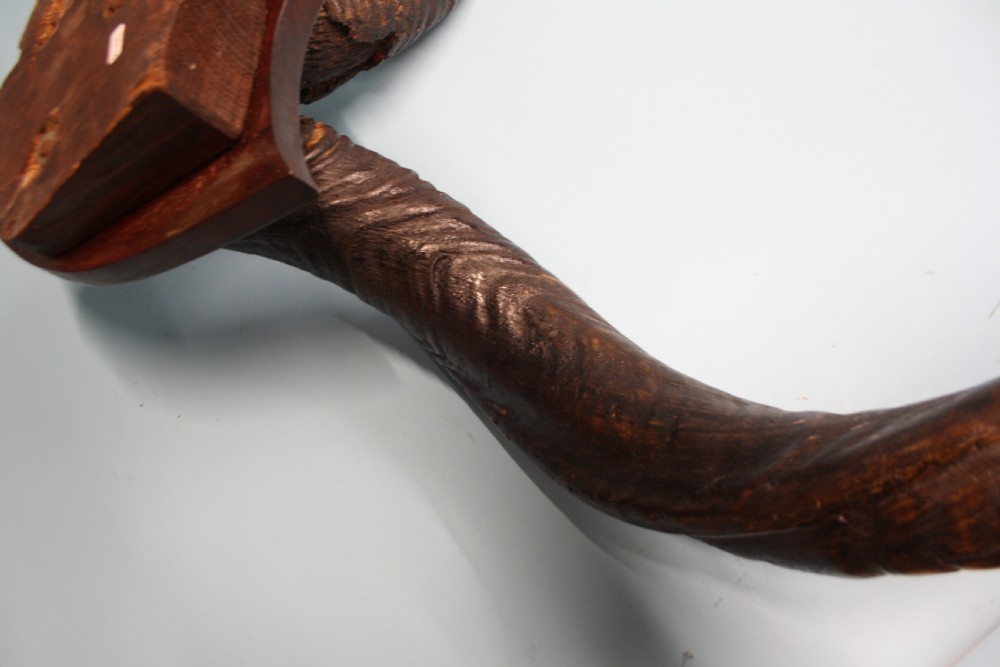 Pair of Addex horns View V