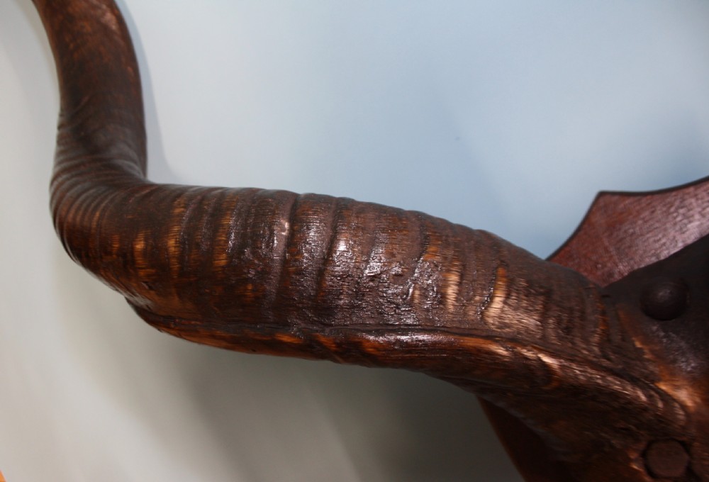 Pair of Addex horns View VI