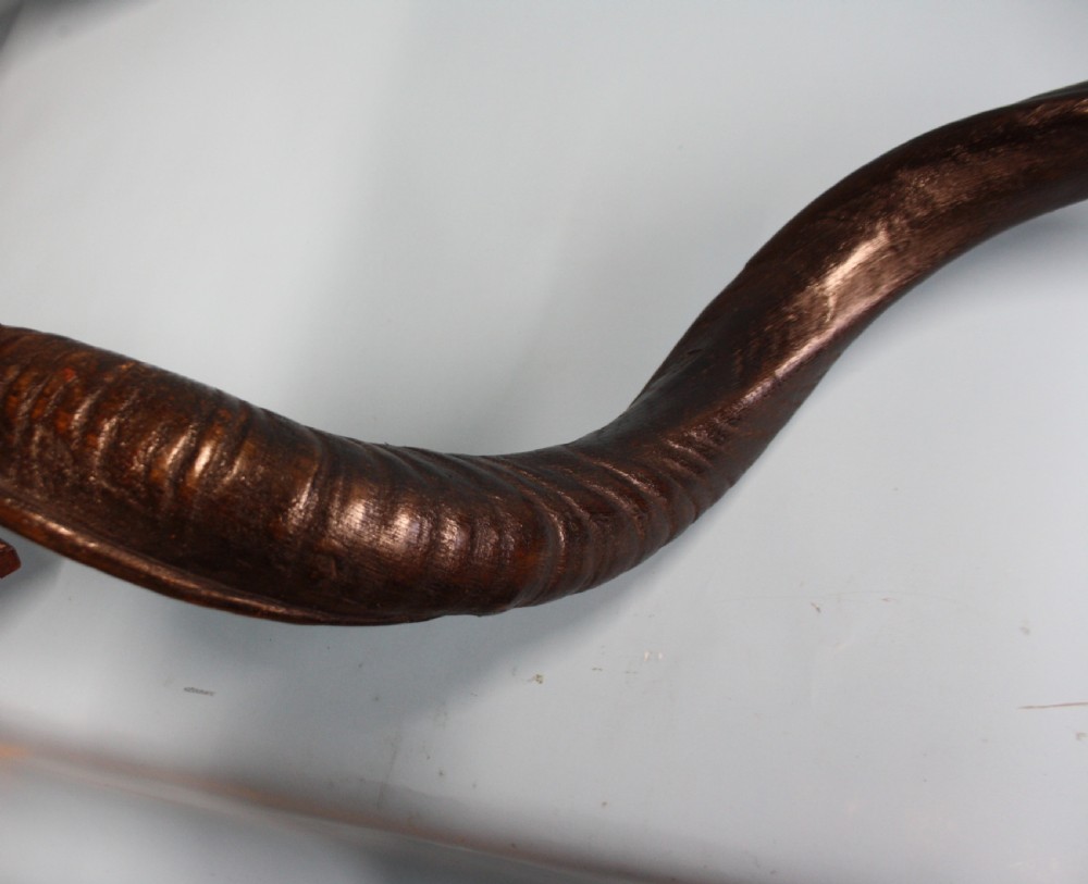 Pair of Addex horns View VII