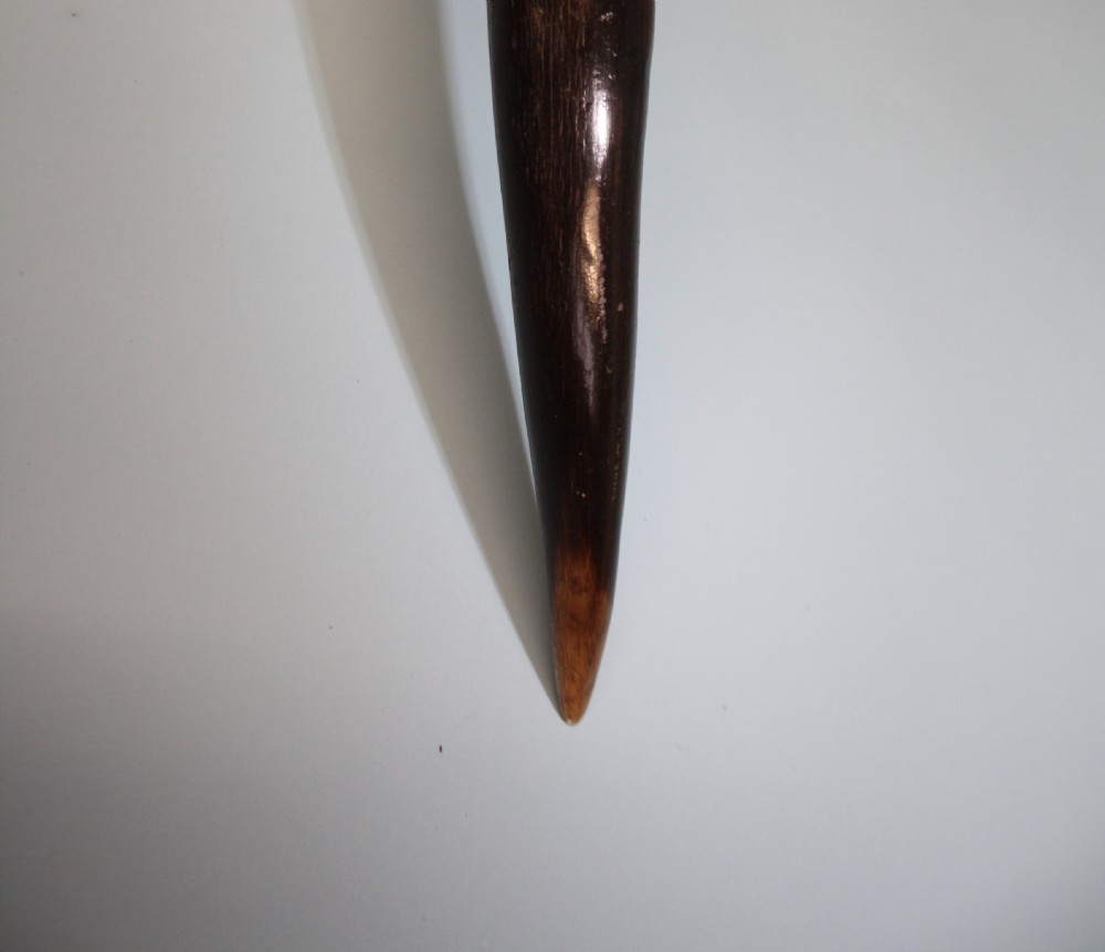 Pair of Addex horns View VIII
