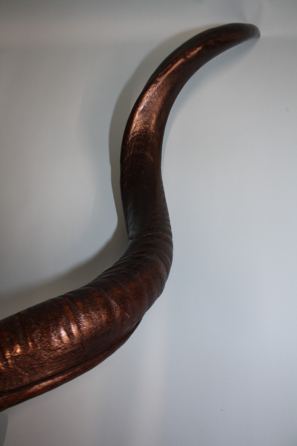Pair of Addex horns View IX