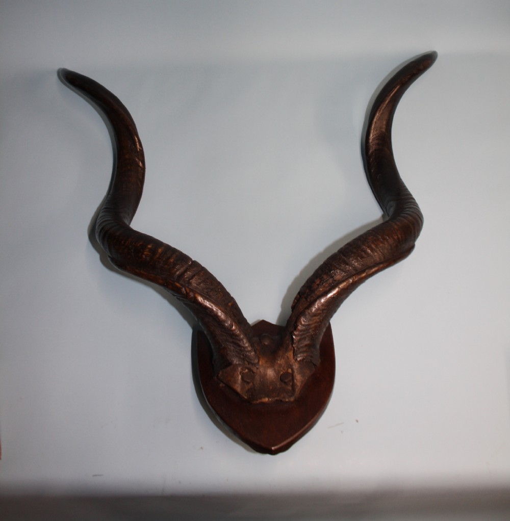 Pair of Addex horns