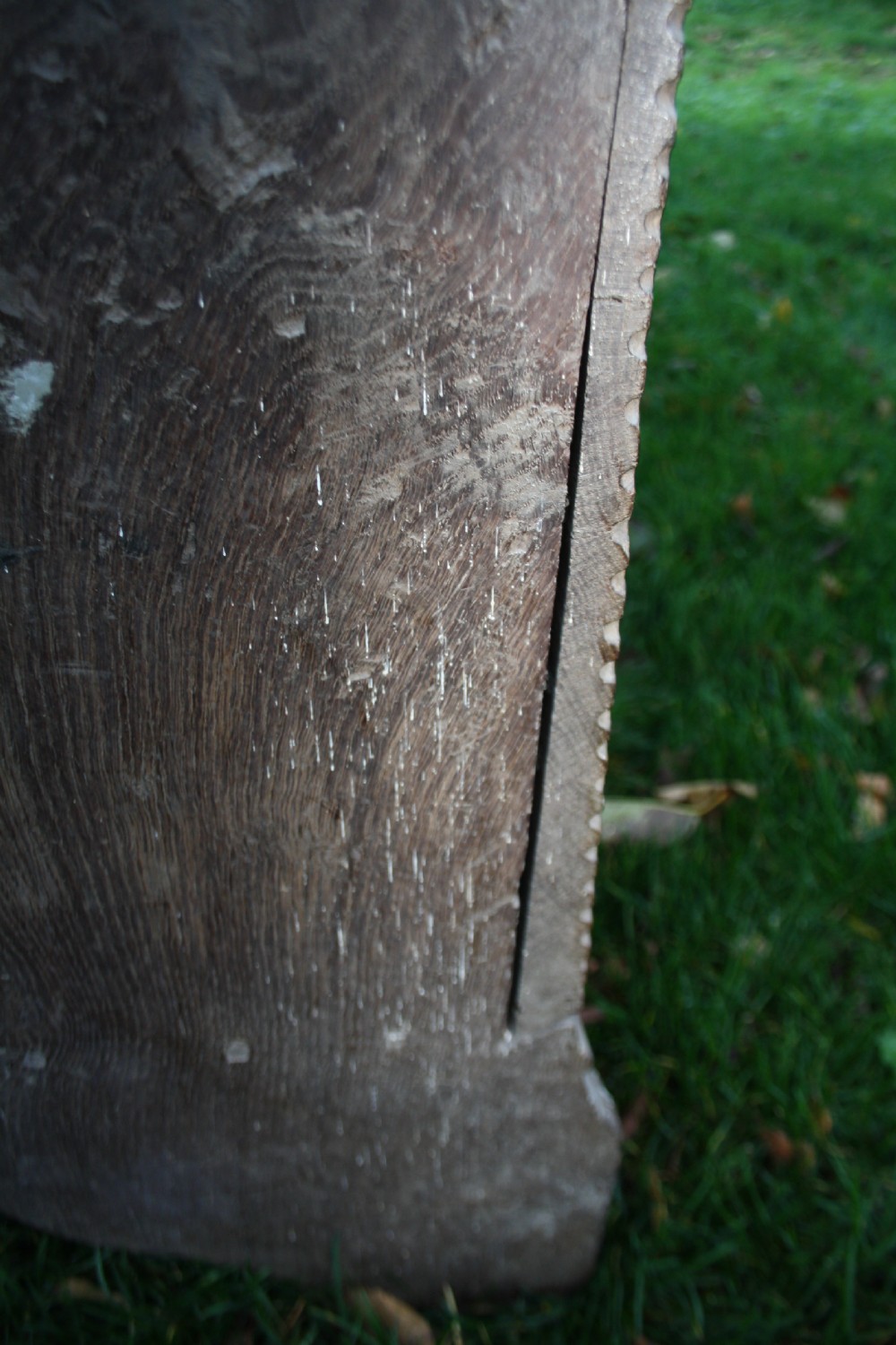 Very rare oak tudor coffer C1550 View XX
