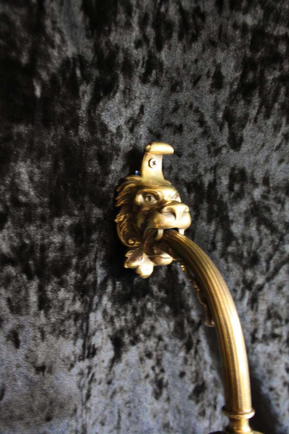 Pair of late 19th century lion and spike wall lights  View VII