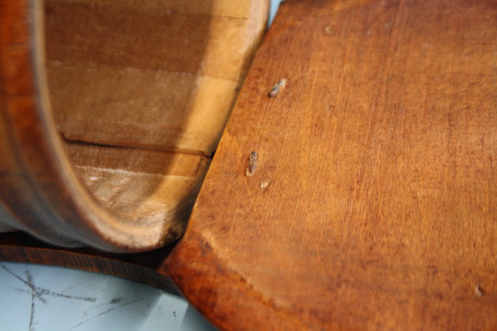 Saltbox in beach and sycamore View IX