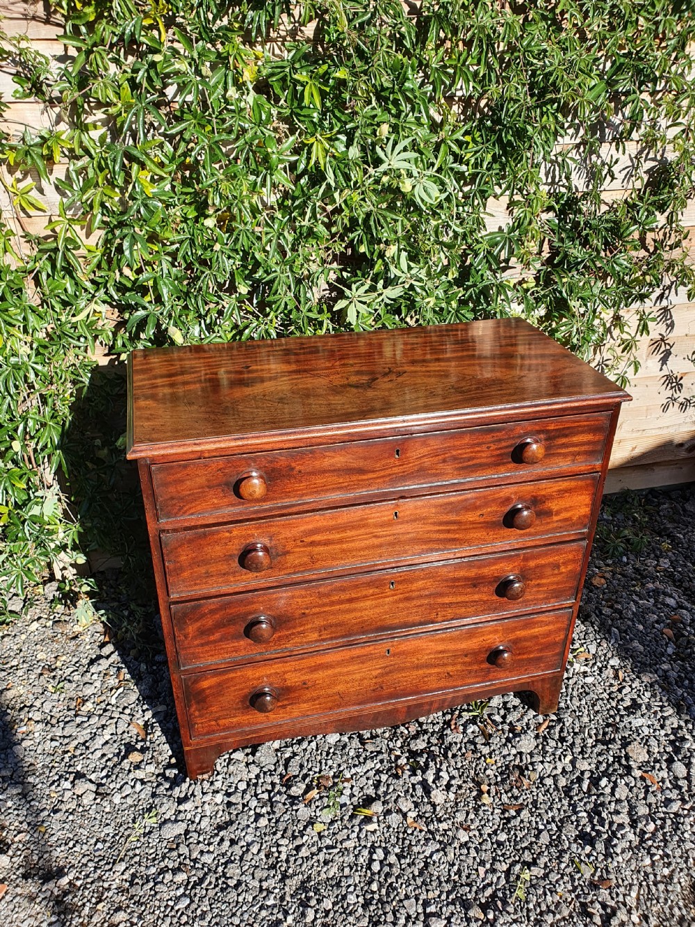 George the III mahogany chest of drawers 36 inches wide