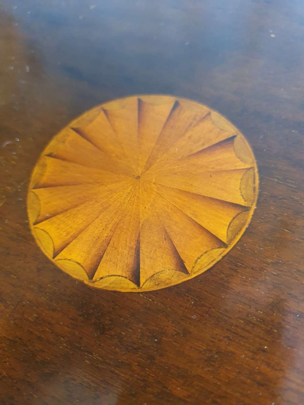 An Edwardian revolving desktop book case View IV