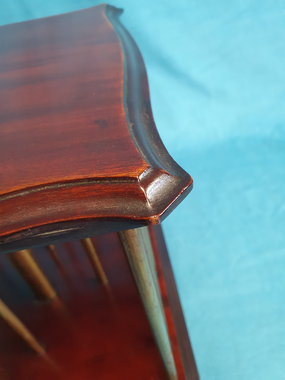Early 20th century revolving bookcase View VII