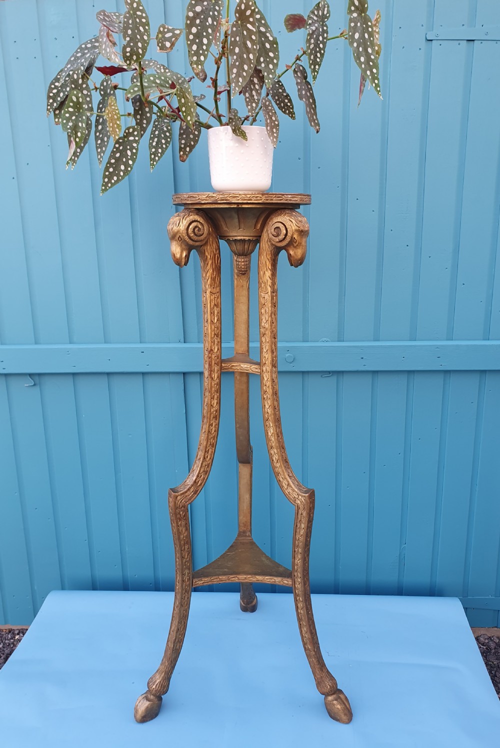 Late 19th century guilt torchere