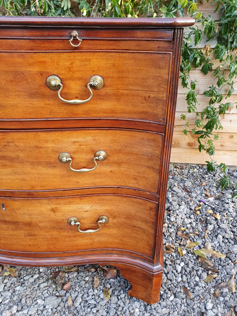 A Georgian mahogany serpentine chest of drawers featuring a curved three-drawer front, brass swan-neck handles, and shaped bracket feet. View V