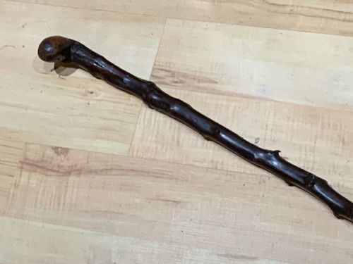 fig 1. Irish Blackthorn walking stick sword stick