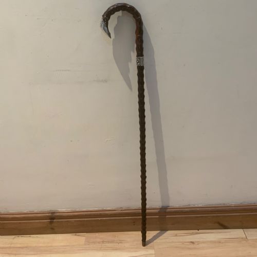 fig 1. Gentleman’s walking stick sword stick Blackthorns Family