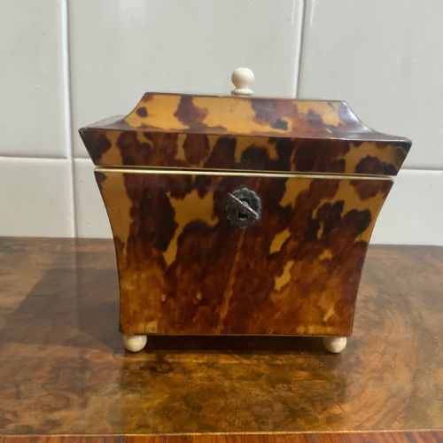 Tea Caddy in Tortoise Shell Veneer