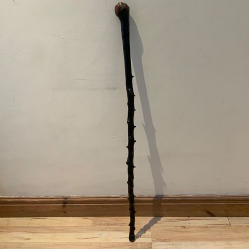 fig 1. Irish Blackthorn walking stick sword stick