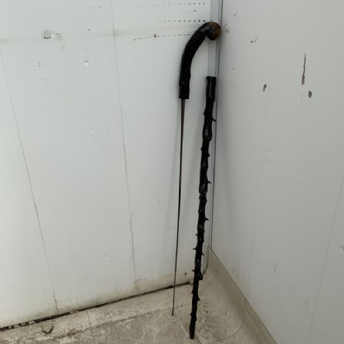 Irish Blackthorn Walking Stick Sword Stick the Finest