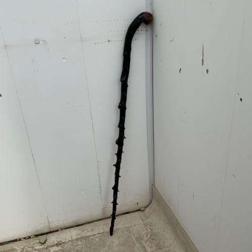fig 1. Irish Blackthorn walking stick sword stick the Finest
