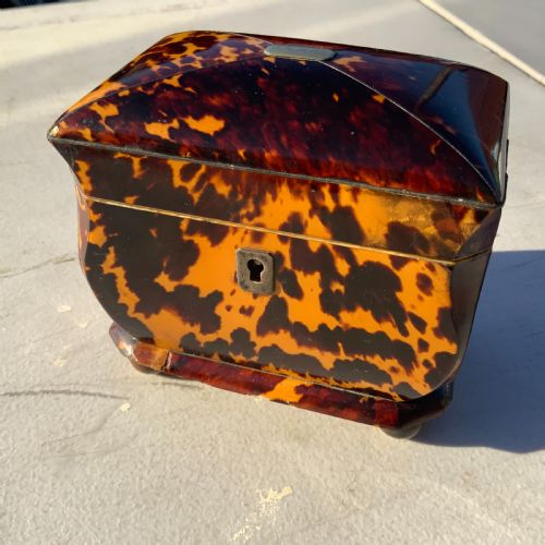 Tortoise Shell Tea Caddy Georgian