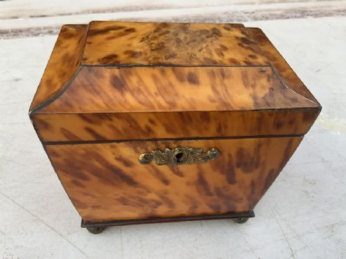 Tortoise Shell Tea Caddy