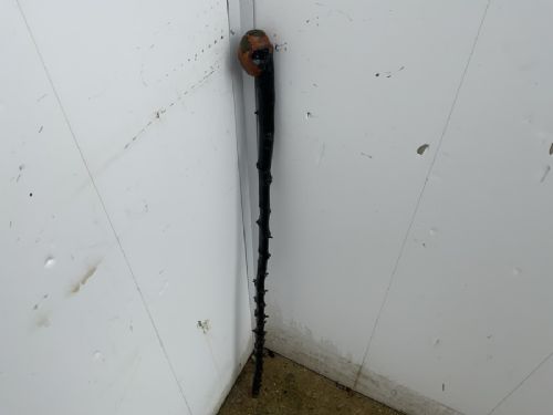 Irish Blackthorn Walking Stick Sword Stick
