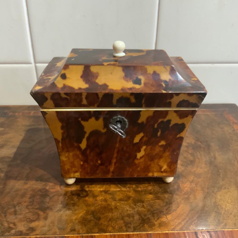 Tea Caddy in Tortoise shell veneer  View II