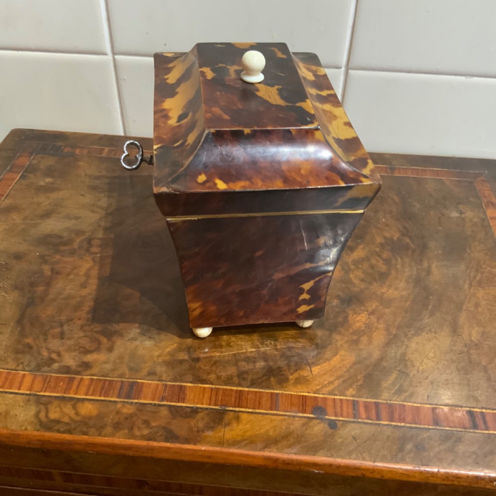 Tea Caddy in Tortoise shell veneer  View III