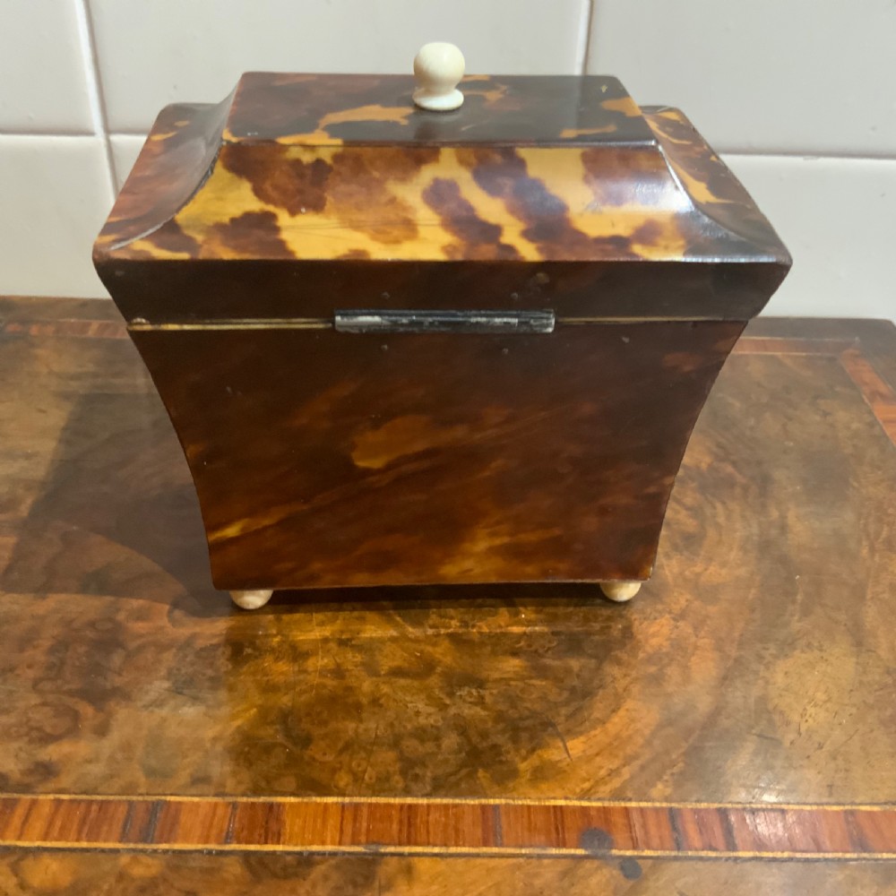 Tea Caddy in Tortoise shell veneer  View IV