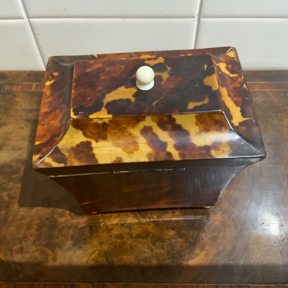 Tea Caddy in Tortoise shell veneer  View V