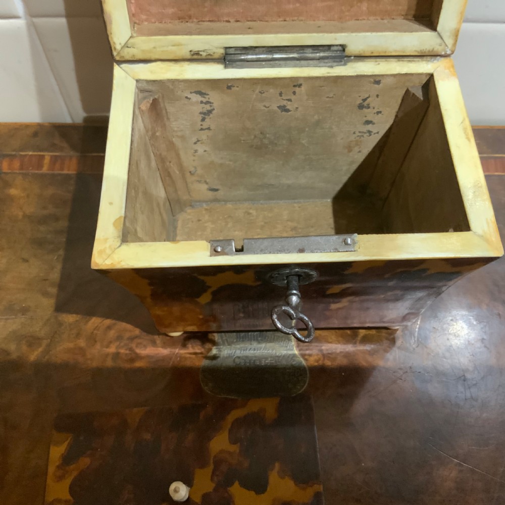 Tea Caddy in Tortoise shell veneer  View VII