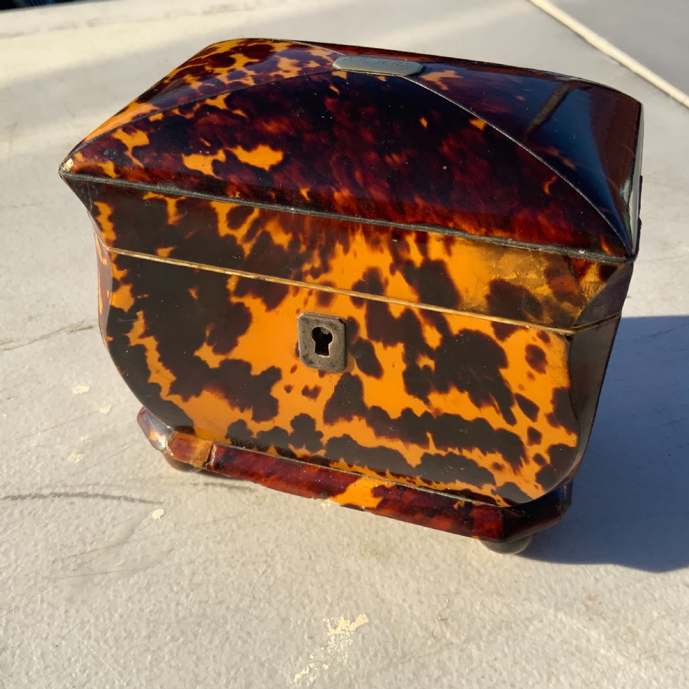 Tortoise shell tea caddy Georgian 