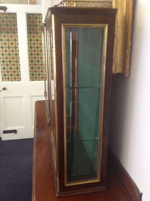 PAIR 19TH C FRENCH BRASS MOUNTED DISPLAY CABINETS View VI