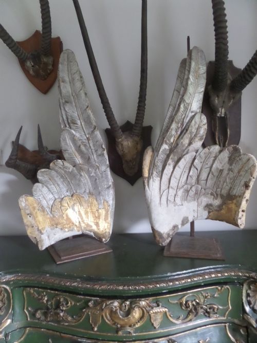 17th Century Carved Wooden Grotto Life Size Angel / Cherub Wings