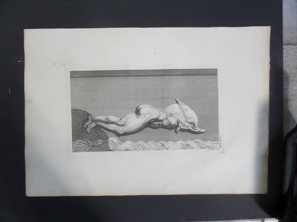 18th Century LARGE Engraving Antiquities of Athens Dolphin  James Basire