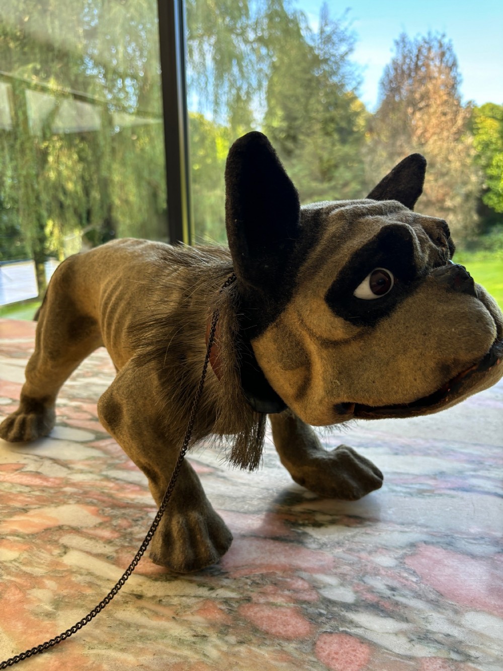 A late nineteenth-century French papier-mache French bulldog automaton featuring flocked brown fur, glass eyes, an open mouth with visible teeth, a collar, and a metal leash.