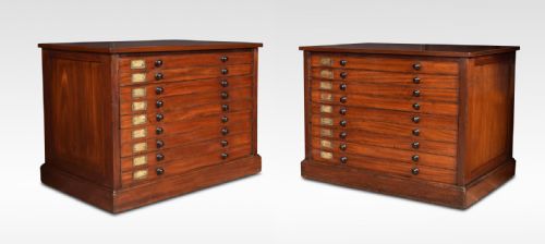 Pair of 19th Century Mahogany Specimen Chests