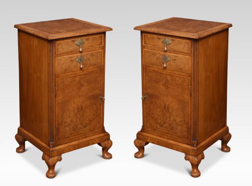 Pair of Queen Ann Style Bedside Cabinets