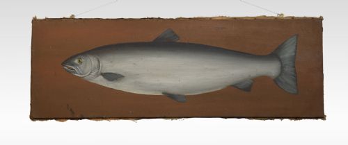 Oil on Canvas Study of a Salmon