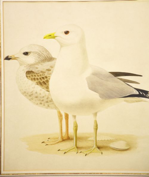 PAULLOUIS BARRUEL WATERCOLOUR ON PAPER - ADDITIONAL PHOTO 1