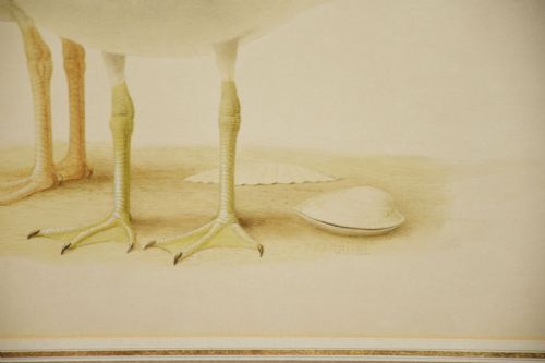 PAULLOUIS BARRUEL WATERCOLOUR ON PAPER - ADDITIONAL PHOTO 2