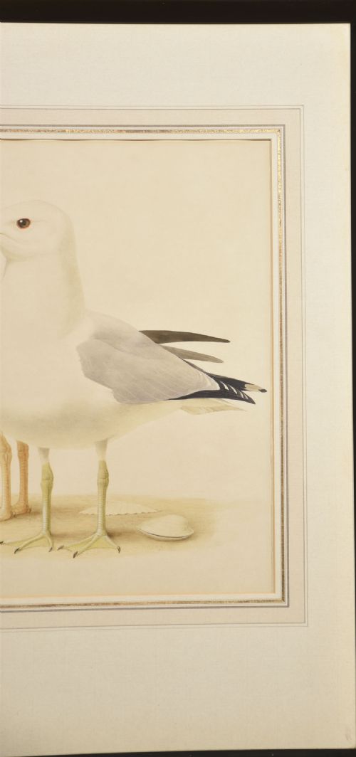 PAULLOUIS BARRUEL WATERCOLOUR ON PAPER - ADDITIONAL PHOTO 3