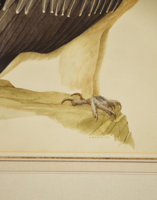 PAULLOUIS BARRUEL WATERCOLOUR ON PAPER - ADDITIONAL PHOTO 1