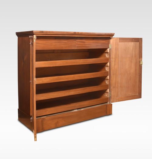 19TH CENTURY MAHOGANY CUPBOARD - ADDITIONAL PHOTO 5
