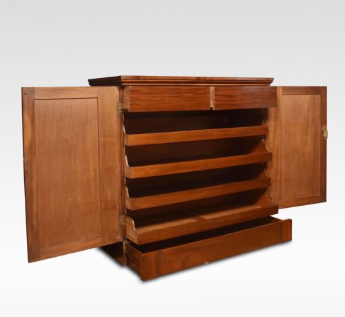 19TH CENTURY MAHOGANY CUPBOARD - ADDITIONAL PHOTO 6