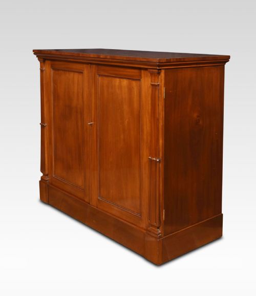 19TH CENTURY MAHOGANY CUPBOARD - ADDITIONAL PHOTO 7